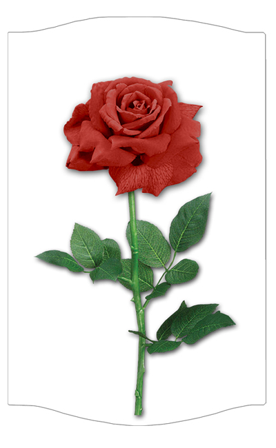 DNSLOG C 083 RD New Red Rose